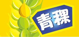 青稞：做高營養(yǎng)價(jià)值谷物的正確傳播